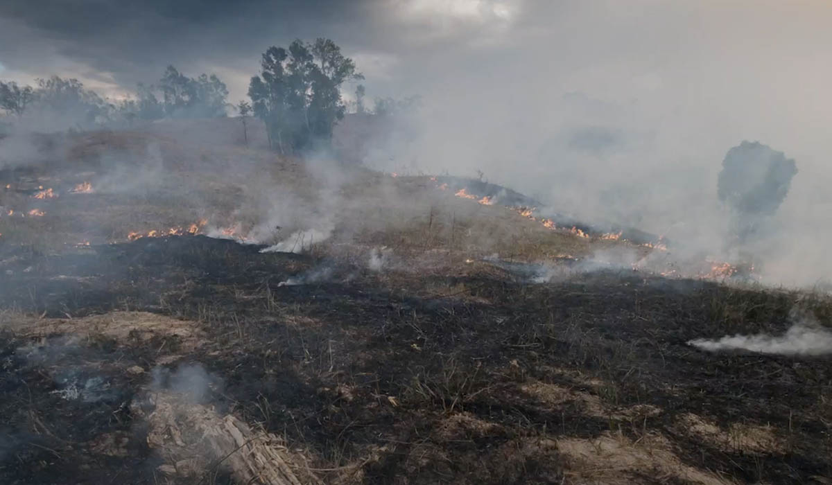 Bushfire Readiness